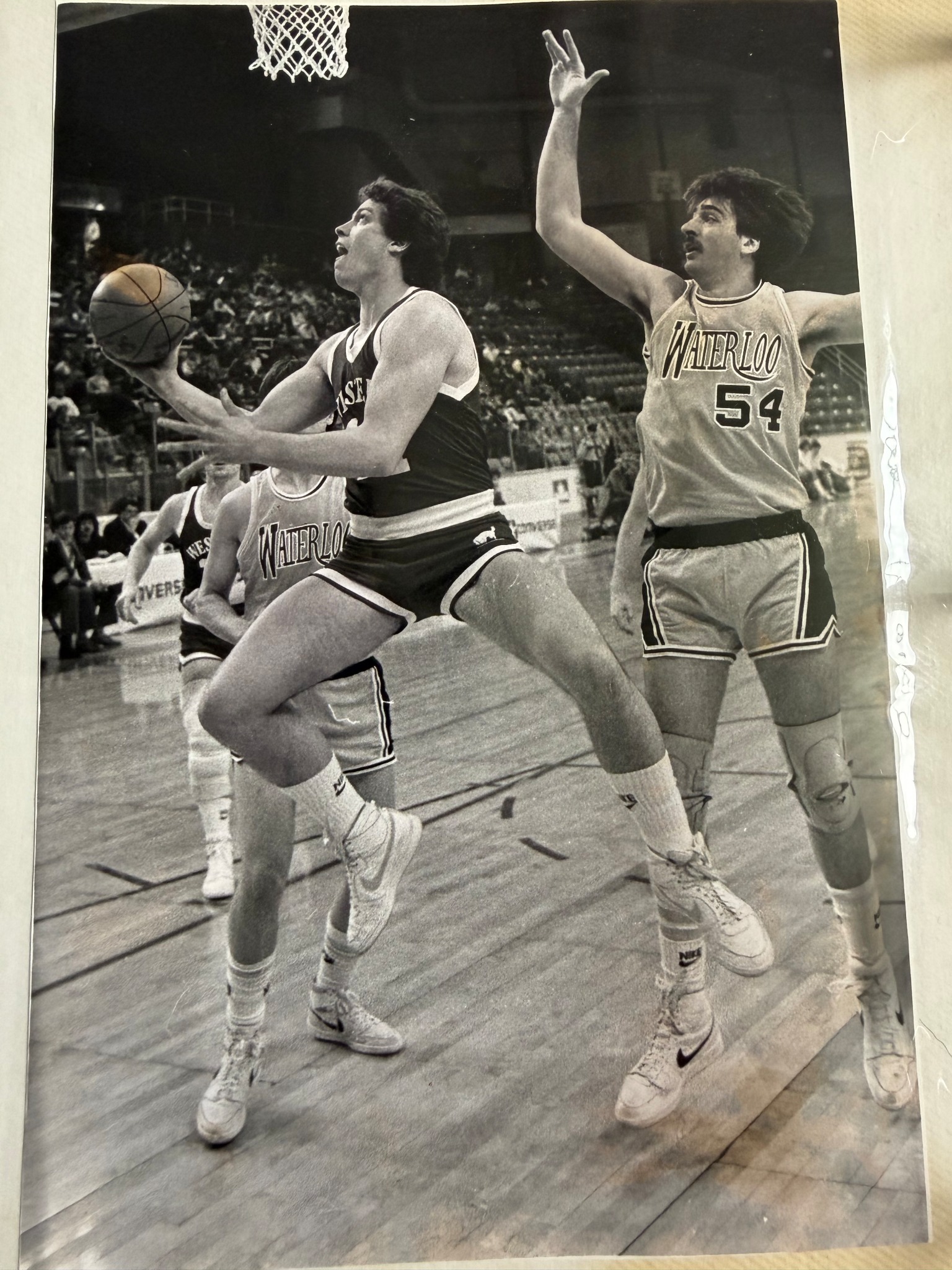 Terry’s university basketball years at Western